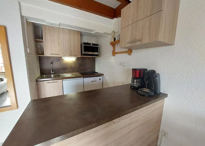 Duplex 3 Pieces, Pied Des Pistes, Parking, 8 Pers. - Fr-1-516-102 莱德萨阿尔卑斯